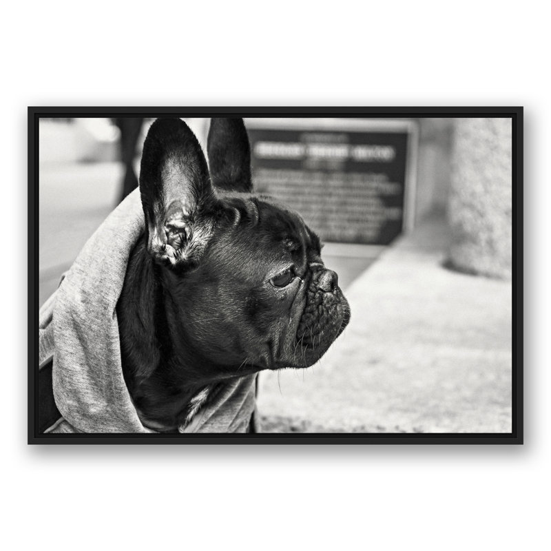 Frenchie, reproduction d'art sur toile, H 13,75 po x l 37,75 po x P 1,75 po