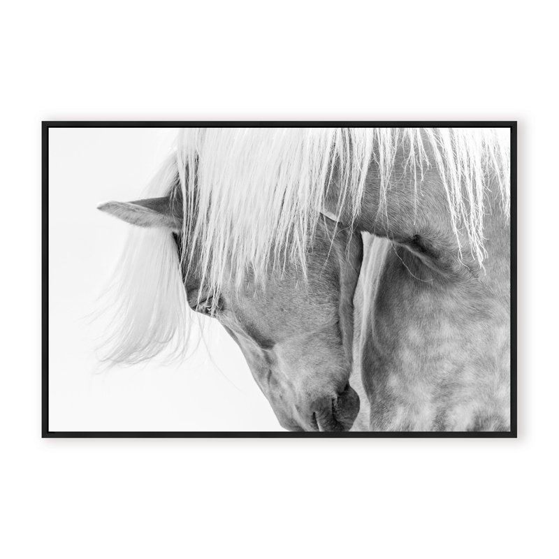 Nature Inspired Halflinger Portrait by  - Picture Frame Photograph on Paper, Framed Canvas, 32" H x 48" W x 2.375" D, White