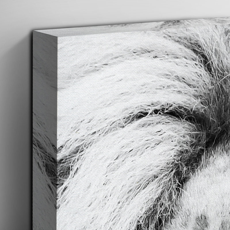 Wrapped Canvas Print, 76cm H x 50cm W