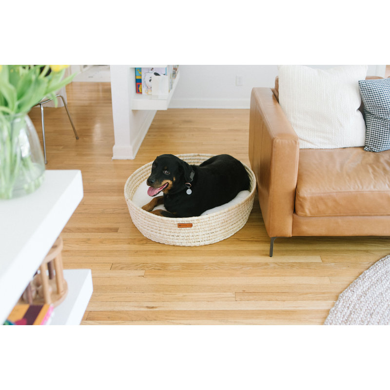 Lit pour chien Scrags