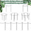 Deaotoys Plant Trays/ Stands Flowers