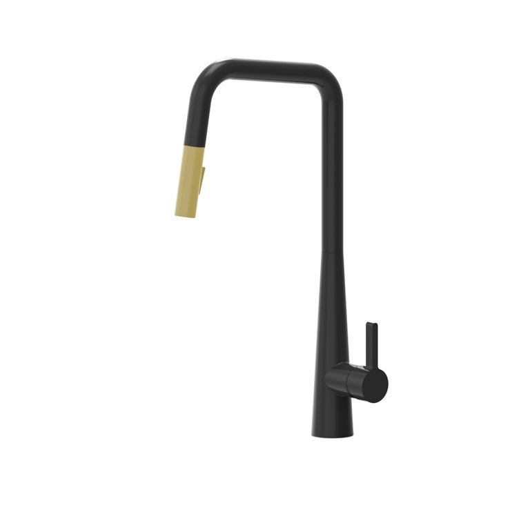 AGUA CANADA Master Pull Down Kitchen Faucet