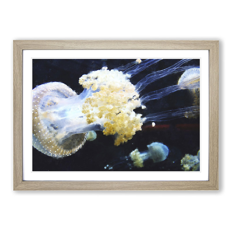 Jellyfish Vol.3 - Picture Frame Painting, 36cm H x 48cm W x 2cm D, Oak