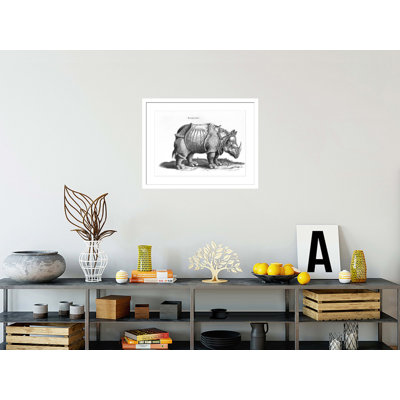 «Rhinoceros no 76» par «historique animal» par Conrad Gesner (1516-65) par Albrecht Dürer, impression giclée encadrée