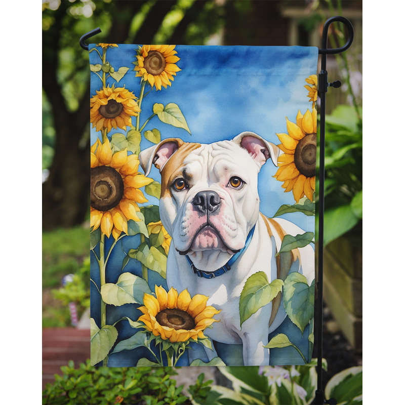 Lévrier irlandais dans le drapeau du jardin de tournesols, Bouledogue américain