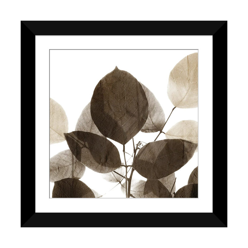 «Chocolate Leaves I» par - Toile tendue, Papier d'art encadré noir, H 16 po x l 16 po x P 1 po