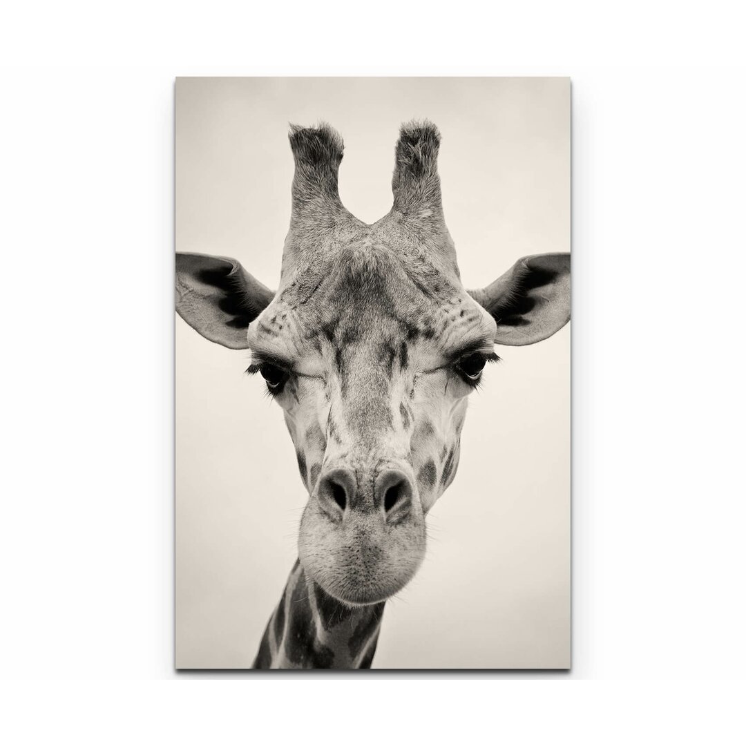 Leinwandbild Kopf einer Giraffe