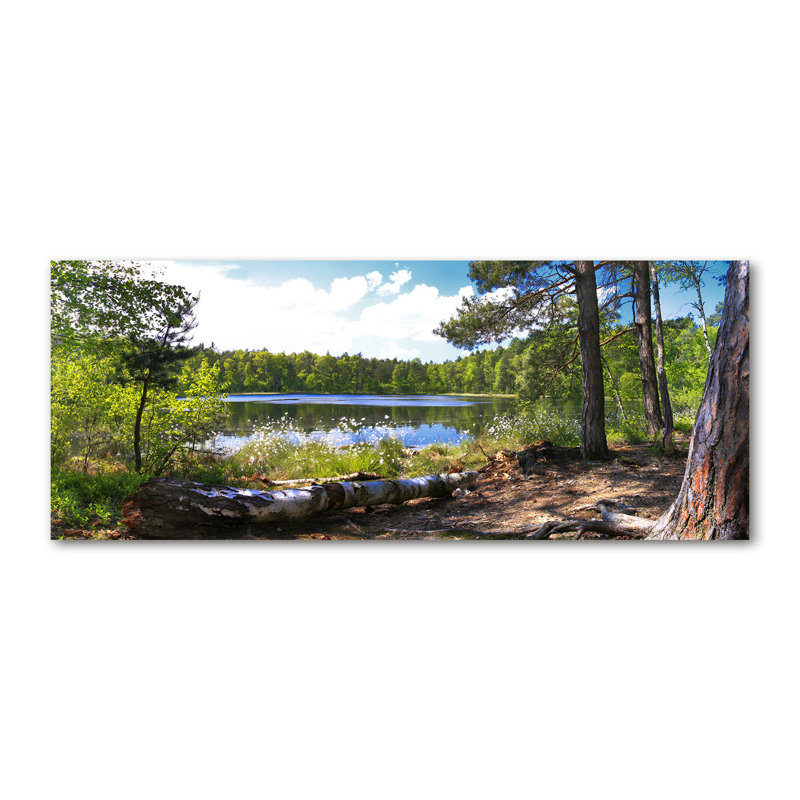 Union Rustic Forest Panorama - Wrapped Canvas Art Prints | Wayfair.co.uk