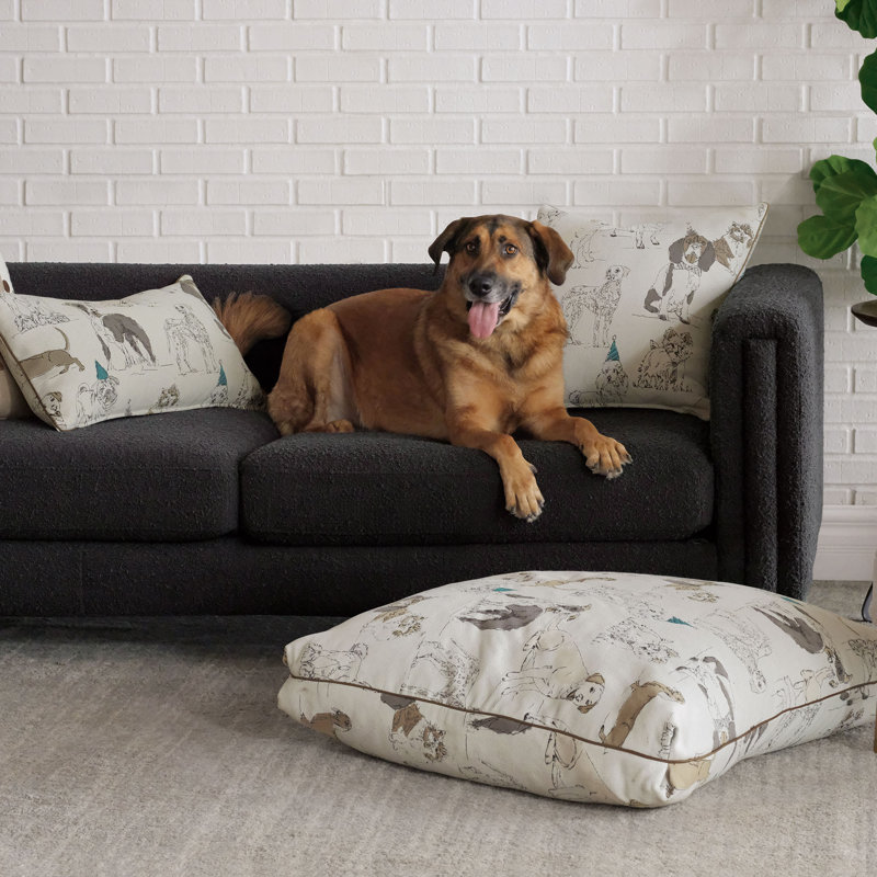 Pets Lumbar Pillow Cover & Insert, 15"H x 26"W