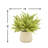Ferdinand Heather Arrangement in Pot-28784519
