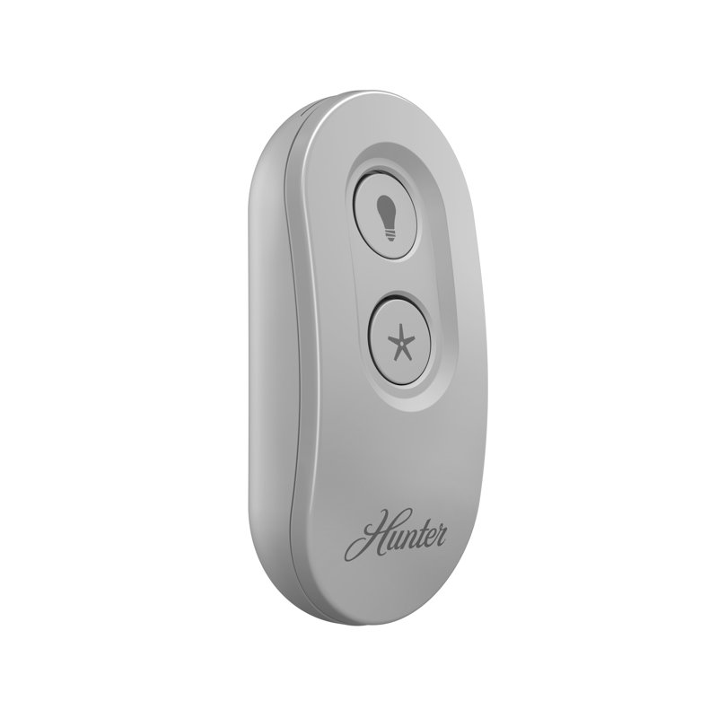 Hunter Gray Indoor Remote Control with Receiver