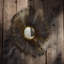 Hartwell Sunburst Mirror
