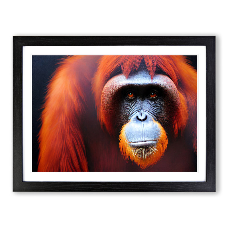 Enviable Orangutan - Single Picture Frame Print, Black, 25cm H x 34cm W x 2cm D