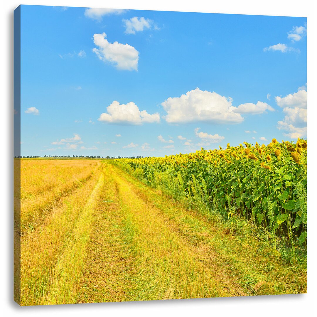 Leinwandbild Feldweg am Wald