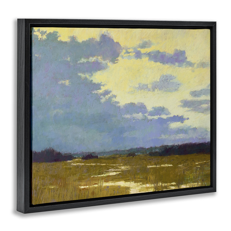  «Rustic Country Clouds», encadrée par Carol Strock Wasson, H 17 po x l 21 po, Cadre flottant noir de jais