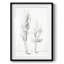 Vintage Sketch IV -Framed Print
