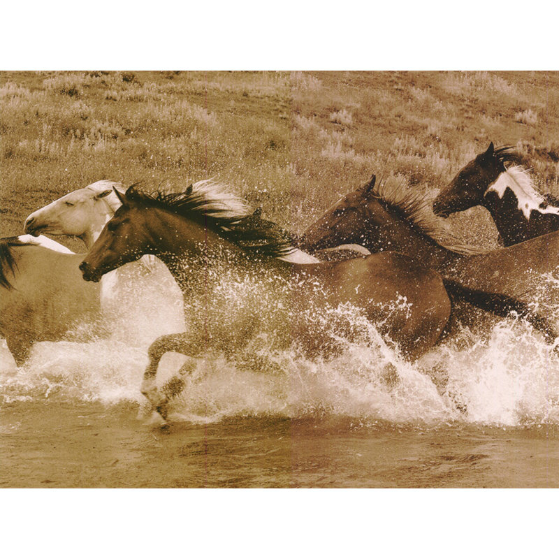 River Race, H 18 po x l 24 po