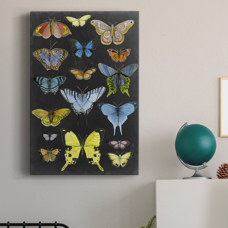 «Butterfly Taxonomie I», impression sur toile tendue, H 18 po x l 12 po x P 1 po
