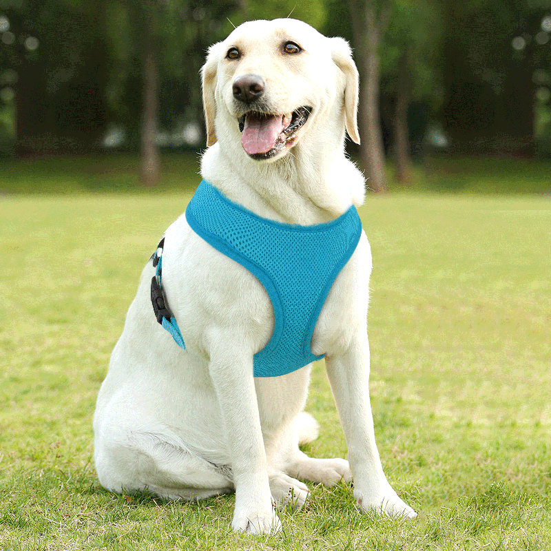 Harnais pour chien en maille, harnais anti-traction ajustable et rembourré avec anneau en D et boucle pour chiens, Bleu ciel