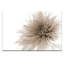 Print on Canvas-25210851-25210856