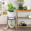 Supports pour plantes