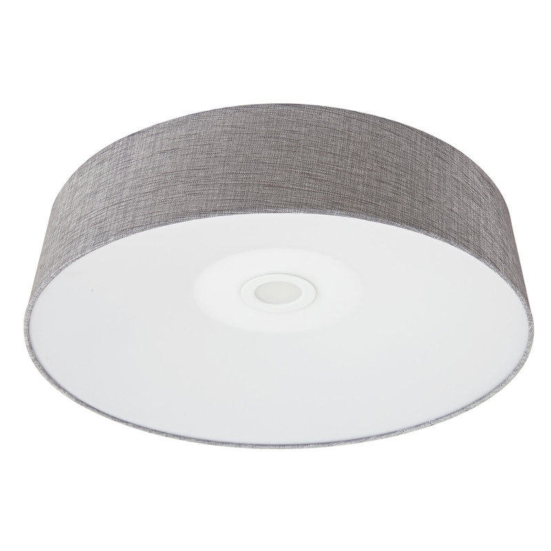 Johnston LED Flush Mount, Gray