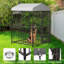 Dog House