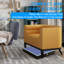 Ensemble de tennis de table pliable et portable avec filet et pagaies pour jouer à l'intérieur et à l'extérieur, rangement et installation faciles