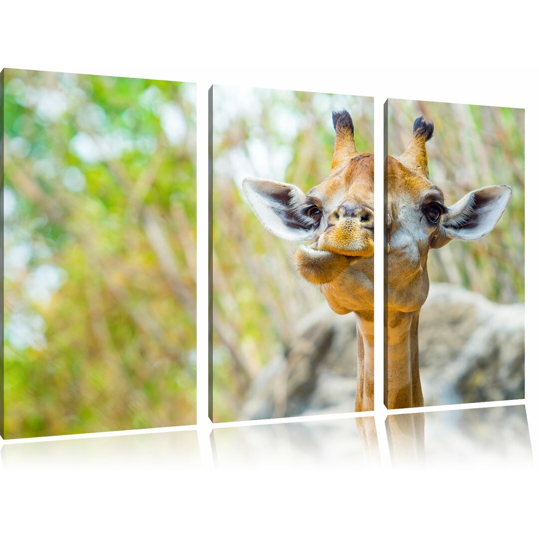 3-tlg. Leinwandbilder-Set Giraffe in der Natur, Fotodruck