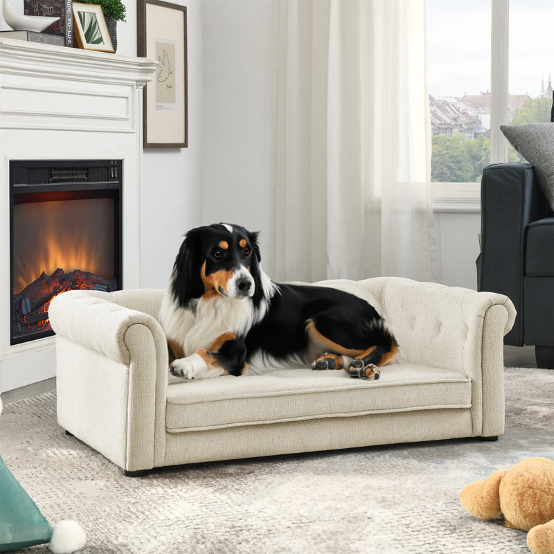 Elevated Rectangle Dog Bed For Small/Medium Dogs - Durable, Comfortable Beige Pet Sofa Couch, Beige