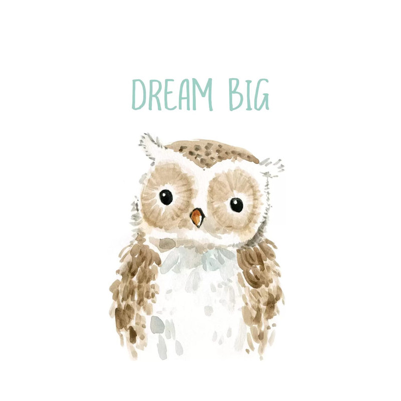 Dream Big Owl by Carol Robinson - Print on Canvas, Wrapped Canvas, 101.6 cm H x 66.04 cm W x 1.91 cm D