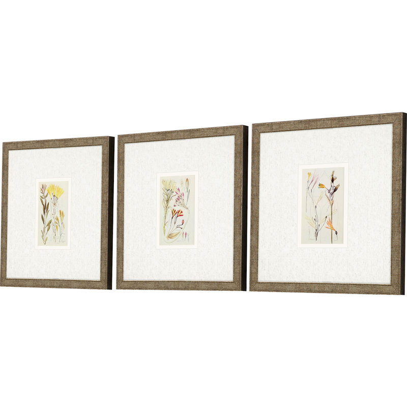 " Antique Botanical II S/3 " by Vision Studio 3 - Pieces Painting Print