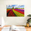 Ferme de tulipes pittoresque Alvord-108906564