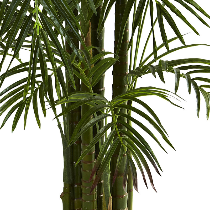 Areca Palm Tree in Pot, 78" H x 60" W x 45" D