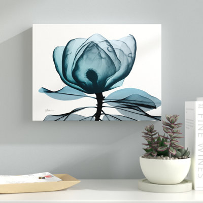 Midnight Magnolia 1 - Wrapped Canvas Print
