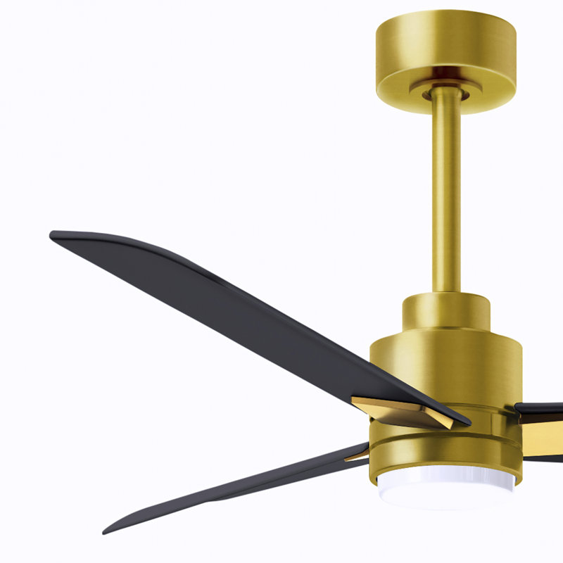 Alessandra - Three Blade Transitional Ceiling Fan -LED, Matte Black, Brushed Brass, 42"