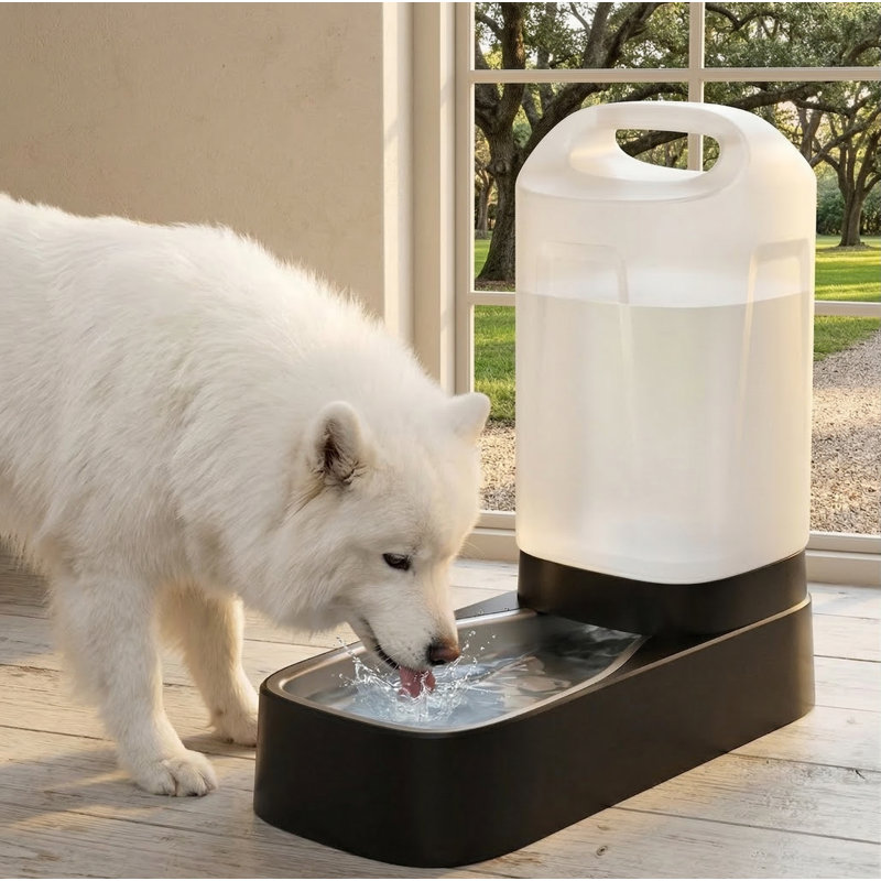Mangeoire d'eau en acier inoxydable pour animaux de compagnie de 2,4 gallons, poignée ergonomique, bol anti-éclaboussures, sans filtre, facile à nettoyer, utilisation multi-animaux