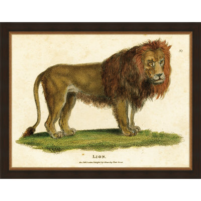 Small Antique Lion Print