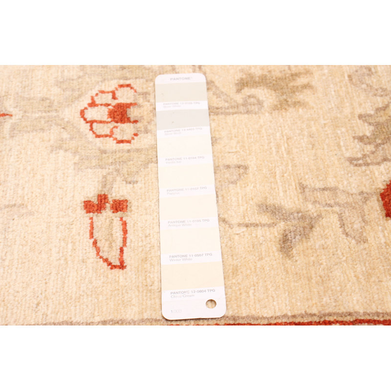Tapis unique en laine noué à la main 3 pi 11 po x 5 pi 11 po Haussen