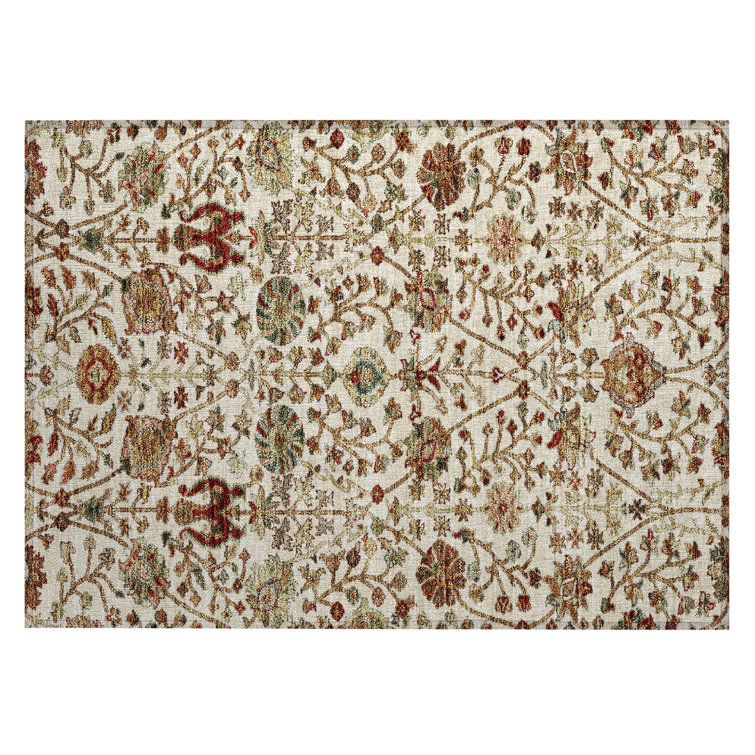 Chayil Area Rug with Non-Slip Backing