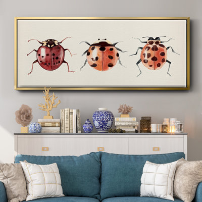 Coccinelle