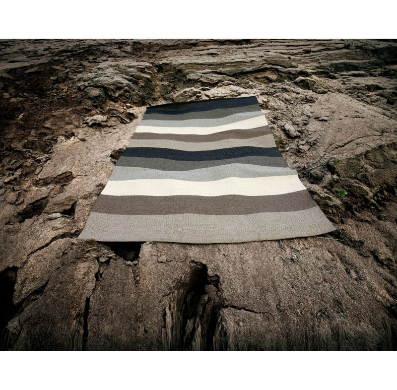 Molly Striped Area Rug in Mud/Black/Gray/Ivory