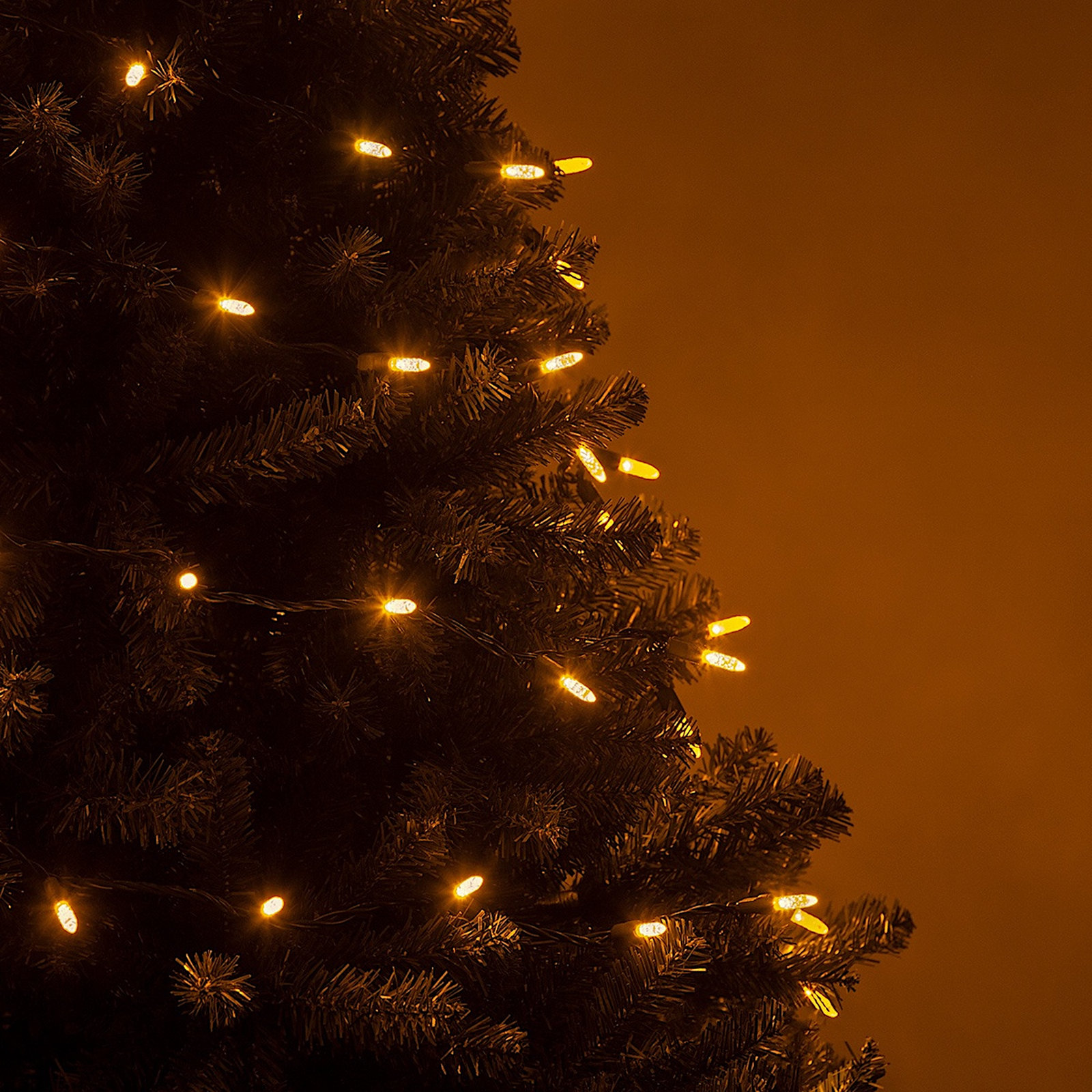 24' 70-Light LED Christmas String Lights, Gold