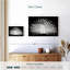 Brampt fabuleux paon albinos-107696309