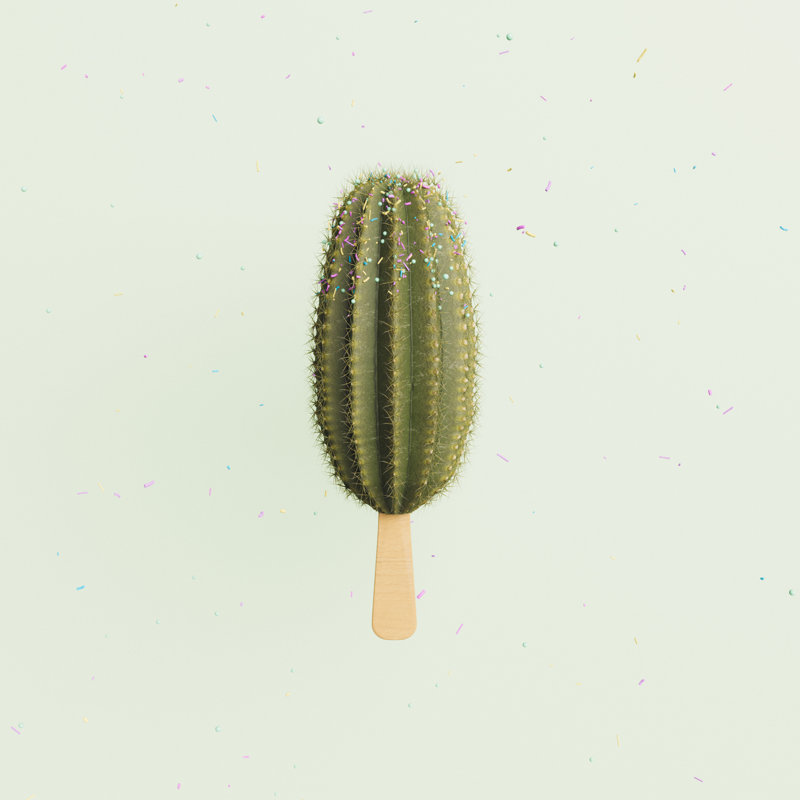 Cactus Ice Cream - Wrapped Canvas Print, 30cm H x 30cm W x 3.8cm D