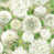 Sail Cloth/Meadow/Gilver