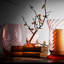 Quinn Hurricane Candle Holder-1081620780