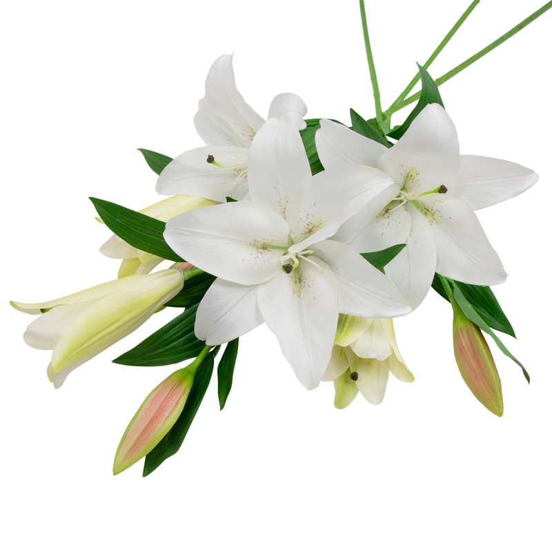 Lis artificiels à tiges florales, Blanc
