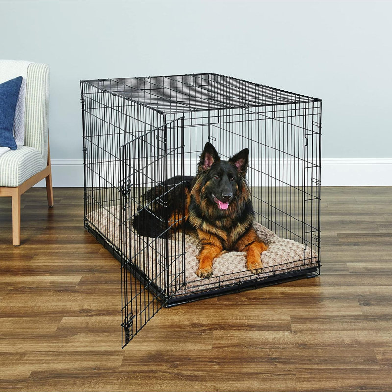 Cage pour chien New World, Grand (H 33 po x l 30 po x P 48 po)