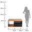 Aelyn Floor Shelf Coffee Table with Storage